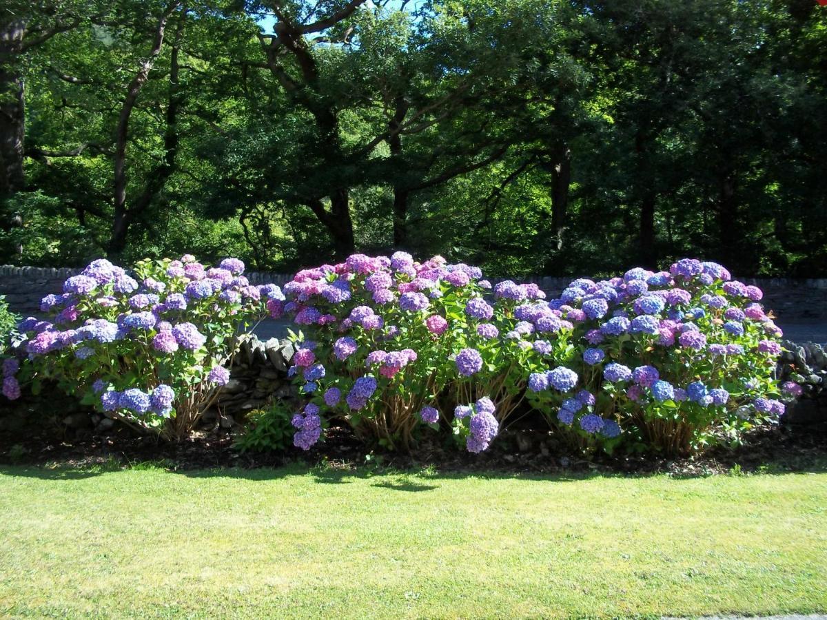 Glenwood Guesthouse Betws-y-Coed Buitenkant foto